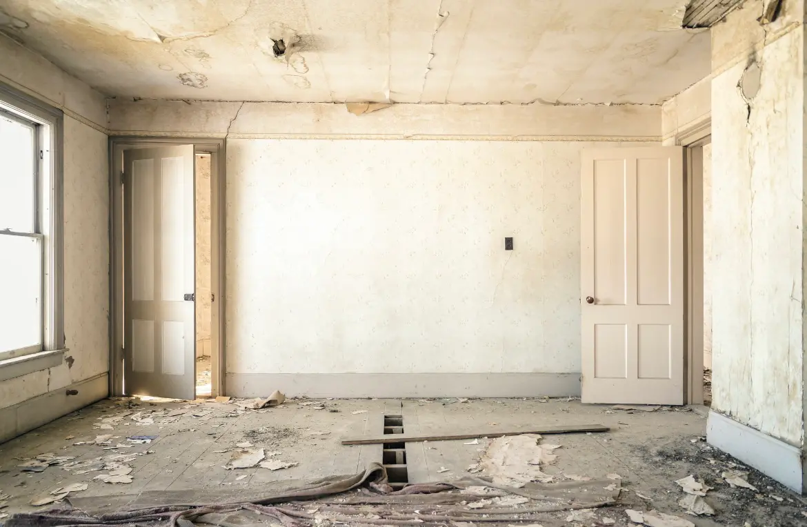 Waste disposal crew managing a cleanout project in Forestville